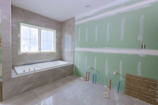 Bathroom Gutting in Cedar Park